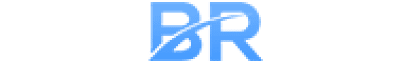 WINBR   LOGO